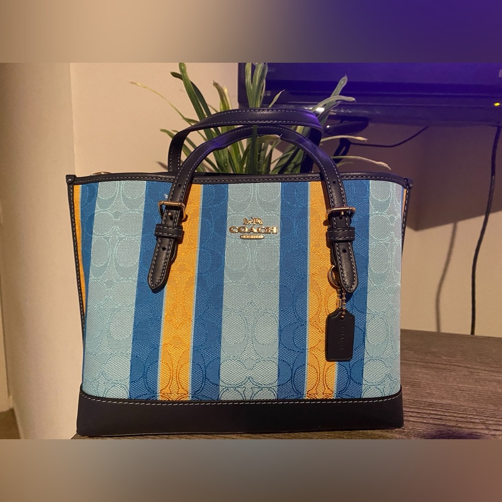 COACH Molly Tote Bag